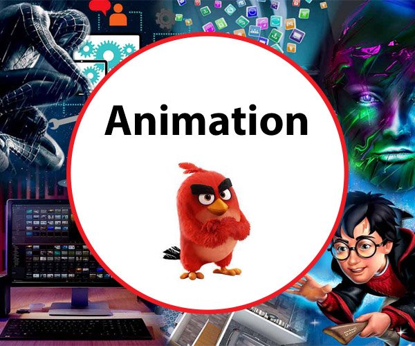 Animation Course